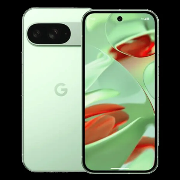 Google Pixel 9 5G (12GB RAM, 256GB, Wintergreen)