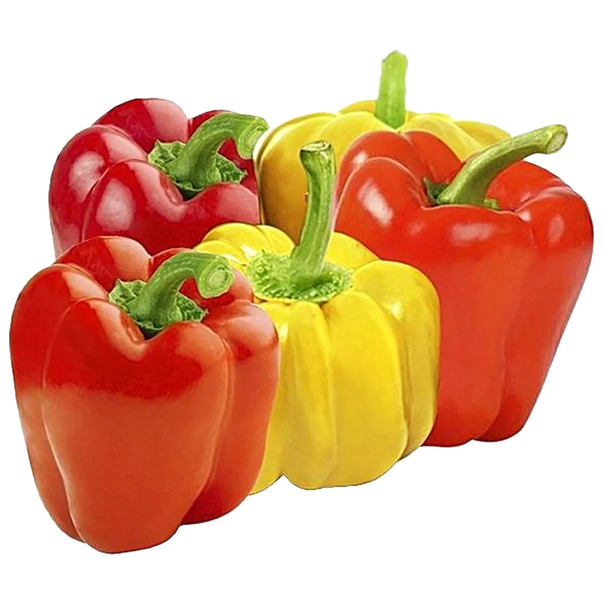 Fresh Capsicum Red & Yellow