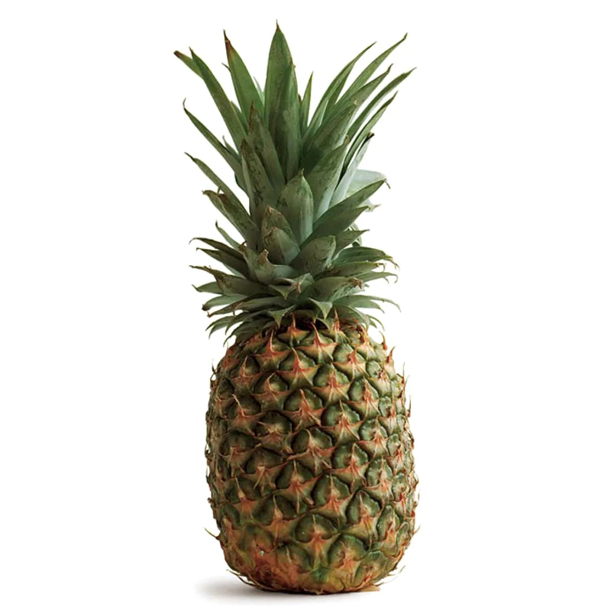 Fresh Pineapple (Ananas)