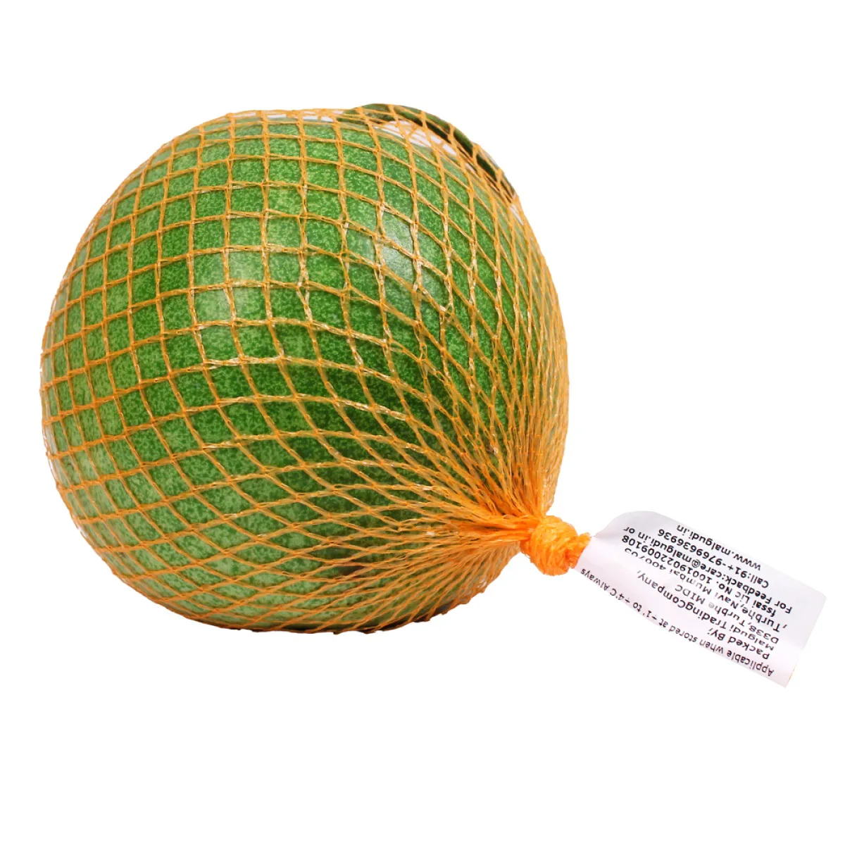Fresh Ash Gourd (Petha)