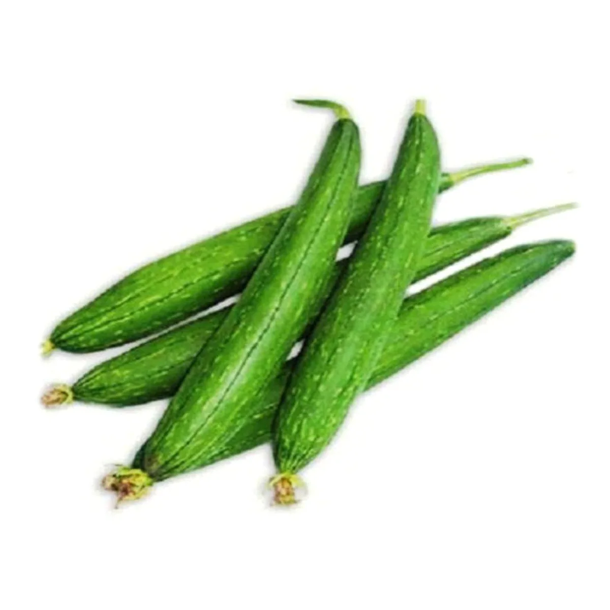 Fresh Sponge Gourd (Ghosale)
