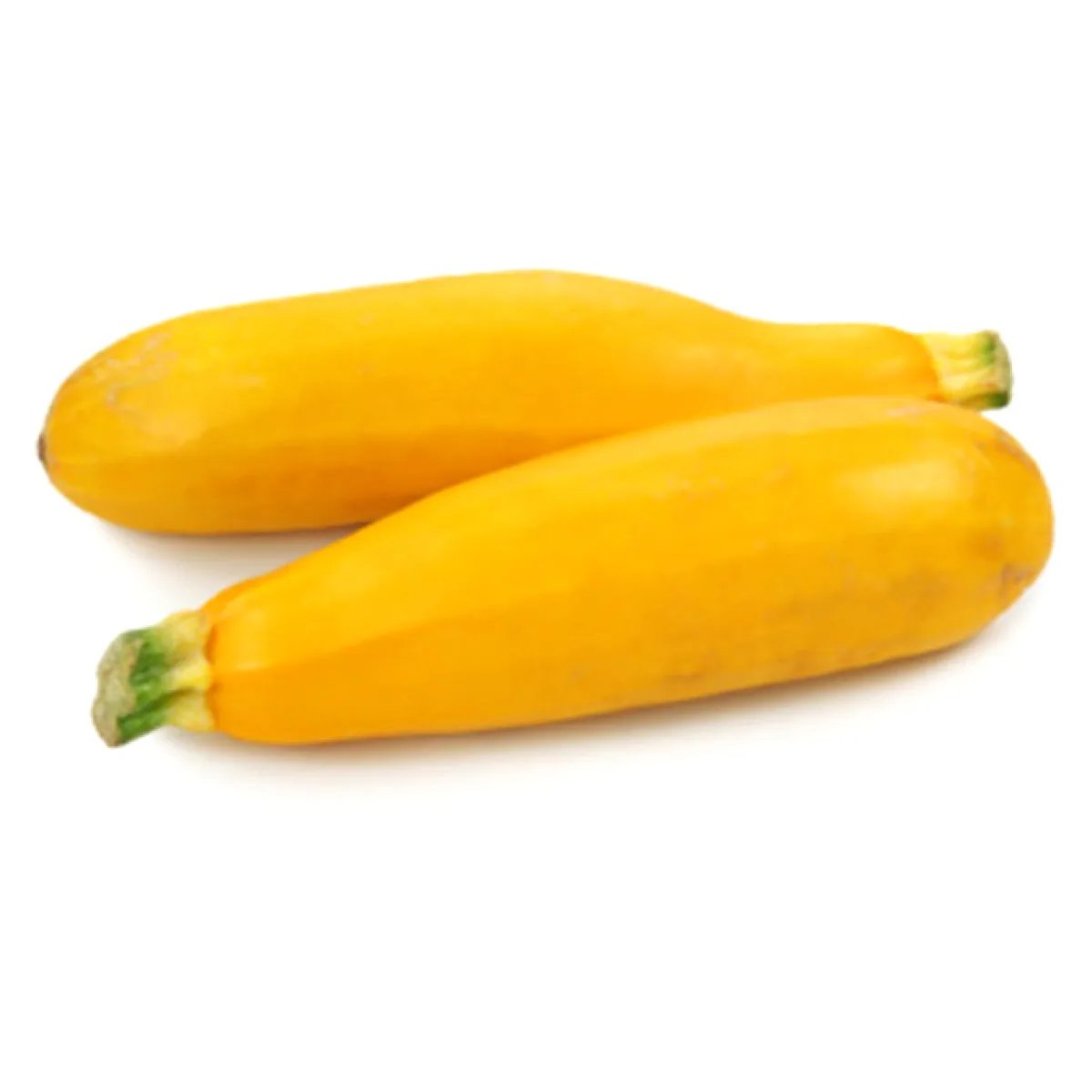 Fresh Zucchini Yellow