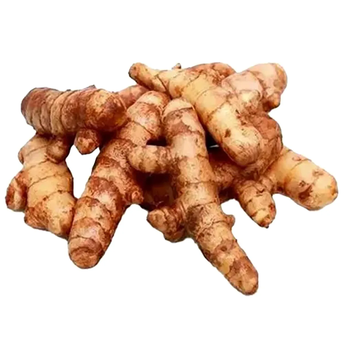Fresh Turmeric