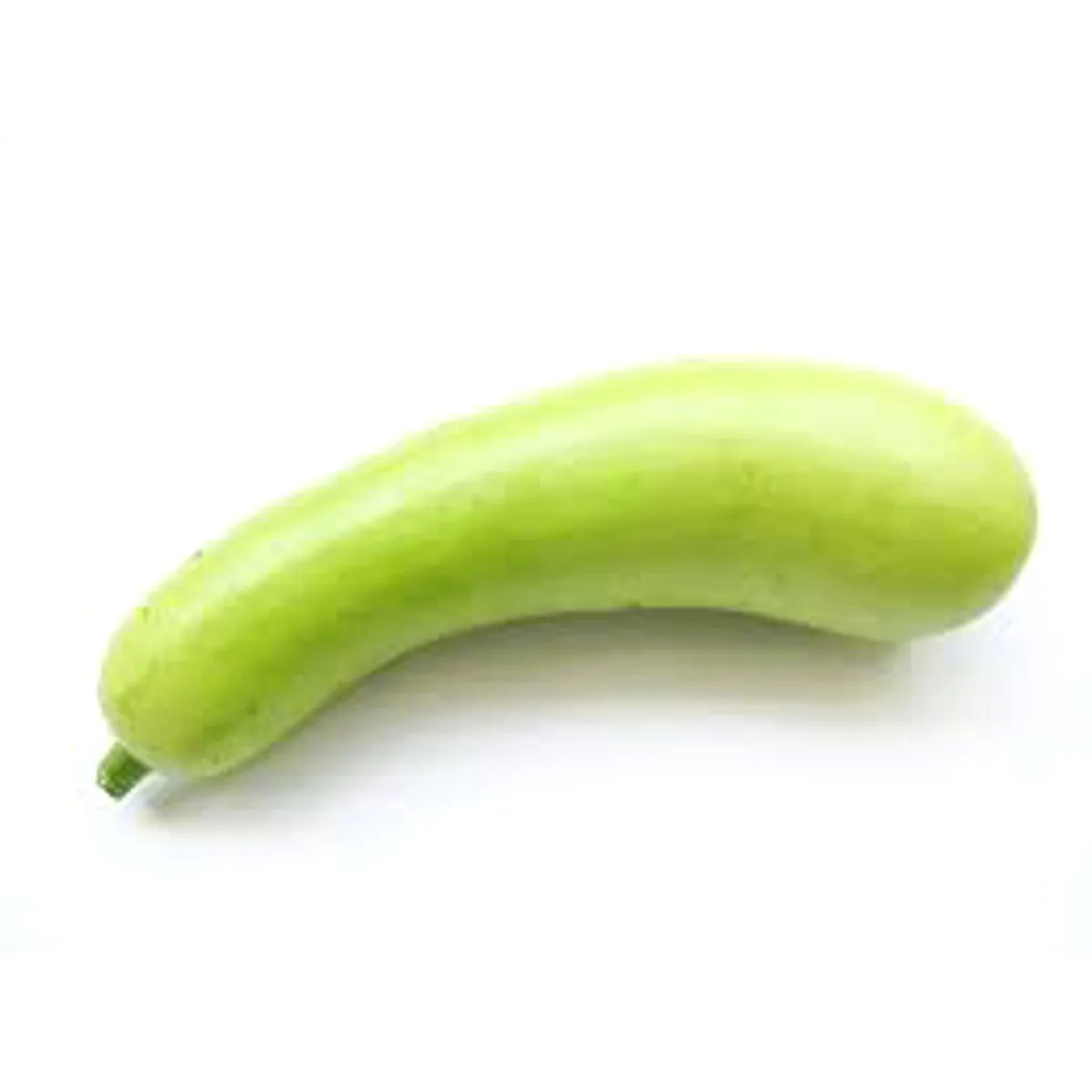 Fresh Bottle Gourd