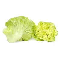 Fresh Iceberg