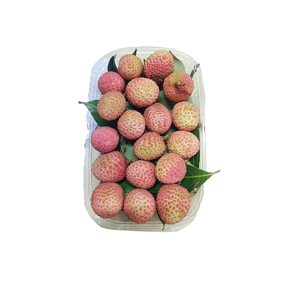Litchi