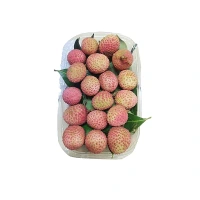 Litchi