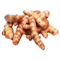 Fresh Turmeric