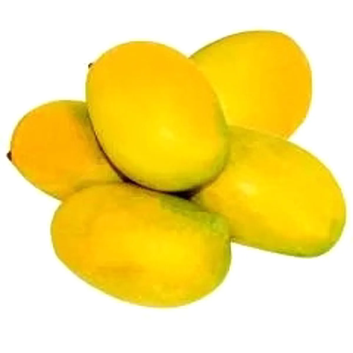 Fresh Mango Neelam